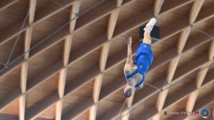 aere trampoline cup tra tum dmt ph by tomasi simone ferraro   fgi 